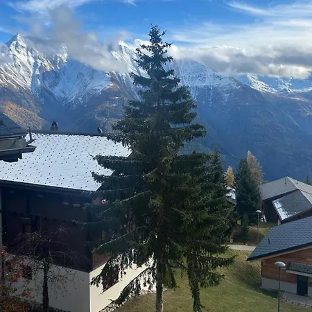 Appartement Dachferienwohnung Vieux Valais A, Ost-mitte Riederalp